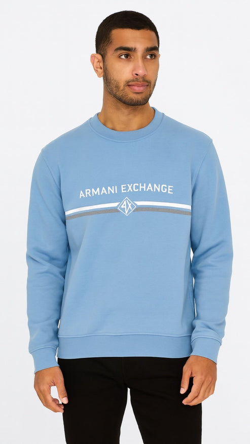 A|E EMBROIDERED SWEATSHIRT SKY BLUE